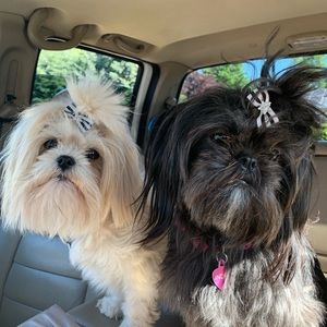 Meet your Posher, Christina